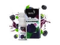BLACKBERRY - e-liquid WAY TO VAPE (CZ)  10 ml | 0 mg, 3 mg, 6 mg, 12 mg, 18 mg